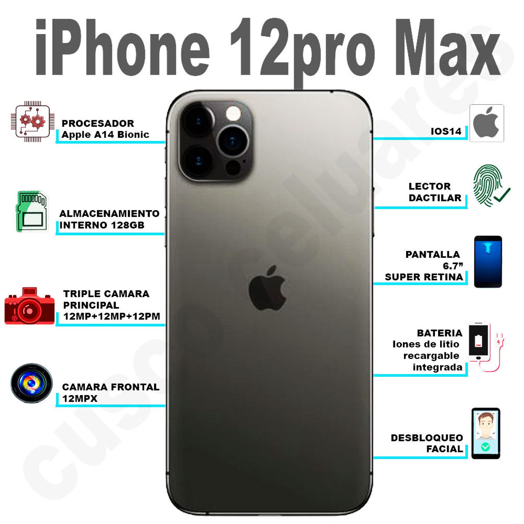 iPhone 12 y iPhone 12 Pro, características precio, especificaciones