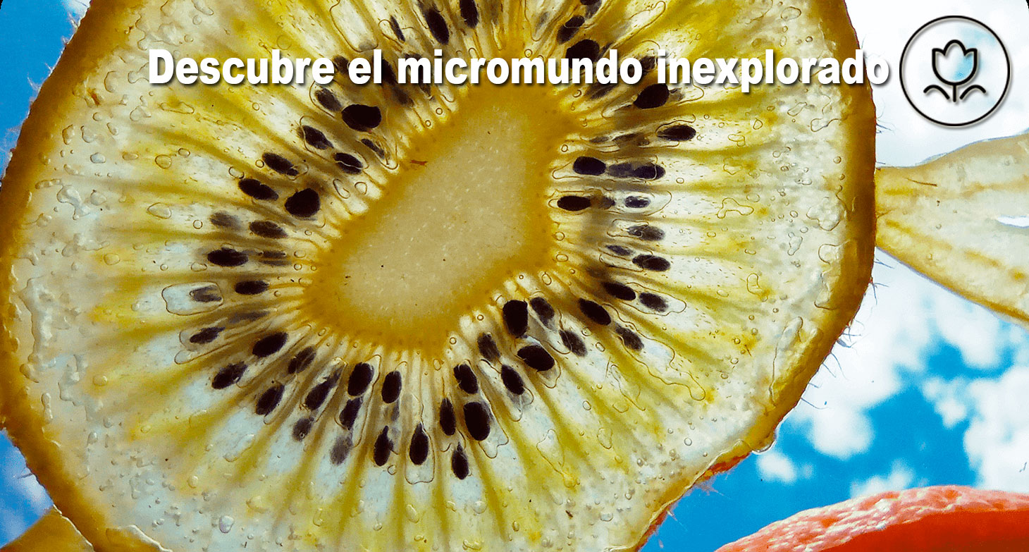 Redmi Note 9 Lente Macro